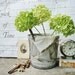 Vintage Wire Basket - Rural Charm & Patina