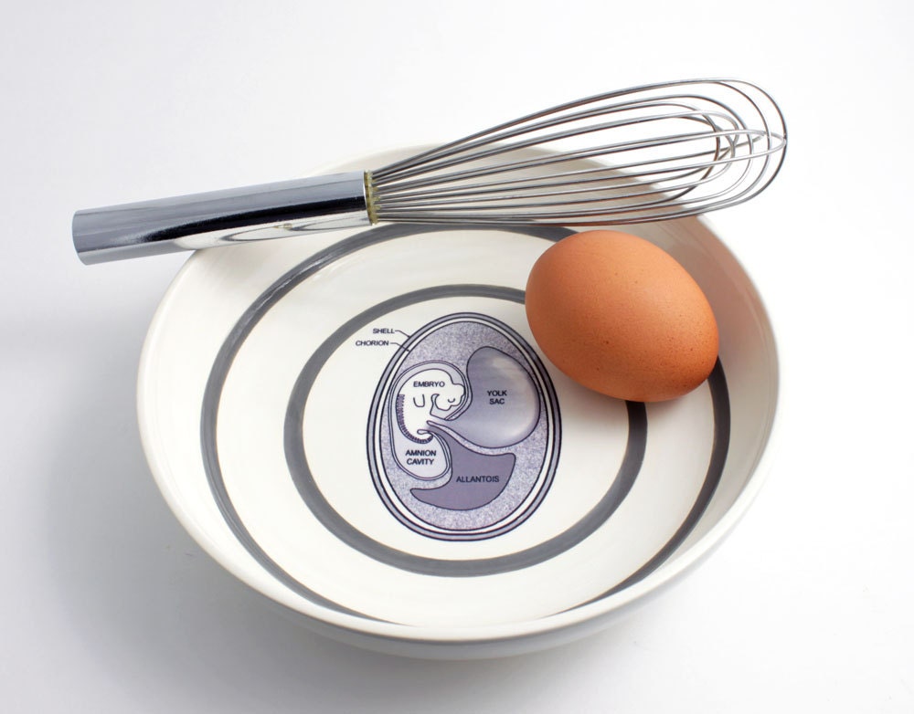 Egg Anatomy Illustration Bowl with Grey Stripes