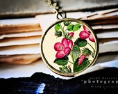 Hibiscus with your favorite verse