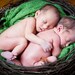 Newborn bird nest photo prop-Photo prop Large Bird's Nest  for Babies- Newborn-owl nest