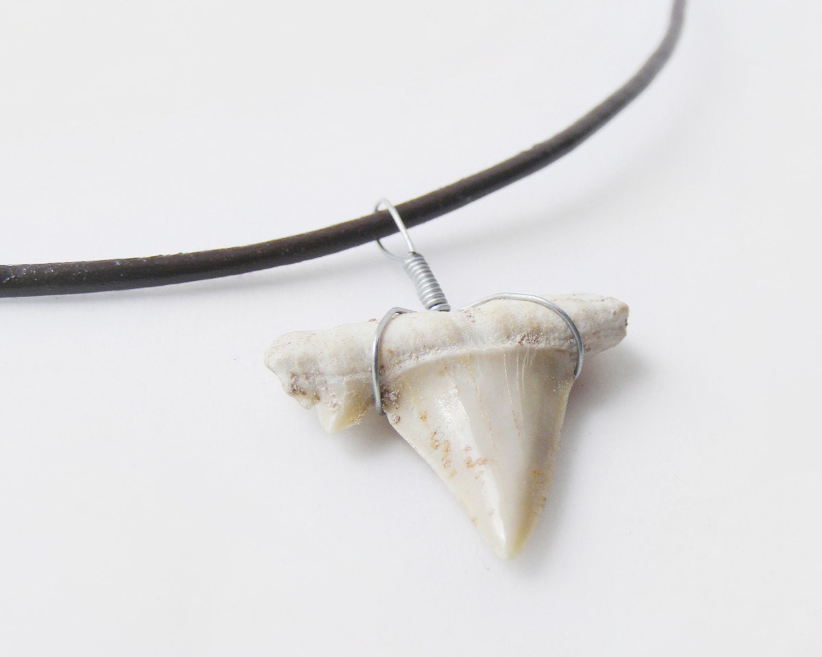 Shark tooth necklace, mens jewelry pendant necklace, leather, shark week