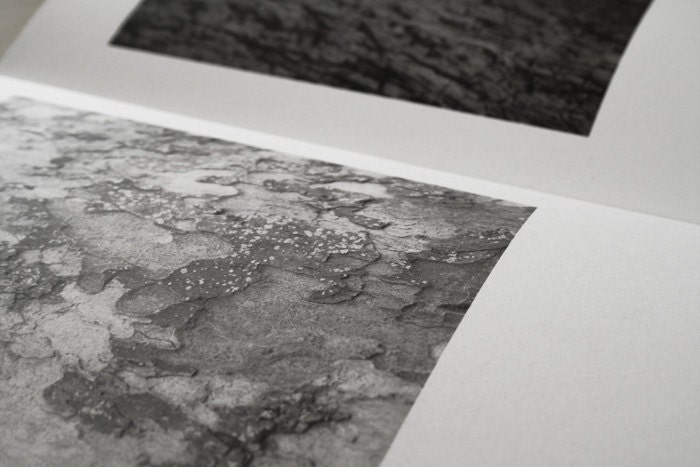 Wild & Waste / Book