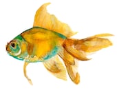 fish watercolor print orange & bluish green - skriza