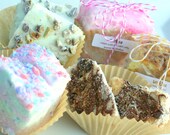 LOW-COST Shipper -Super SIZED-Tookies Bits & Pieces Sampler