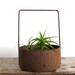 Industrial Metal Basket - Vintage Storage / Organizer, Succulent Pot
