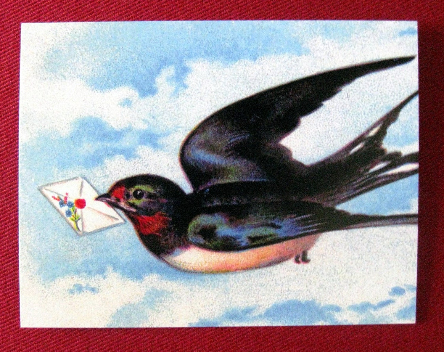 Letterbird postcard set, pack of 5
