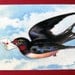 Letterbird postcard set, pack of 5
