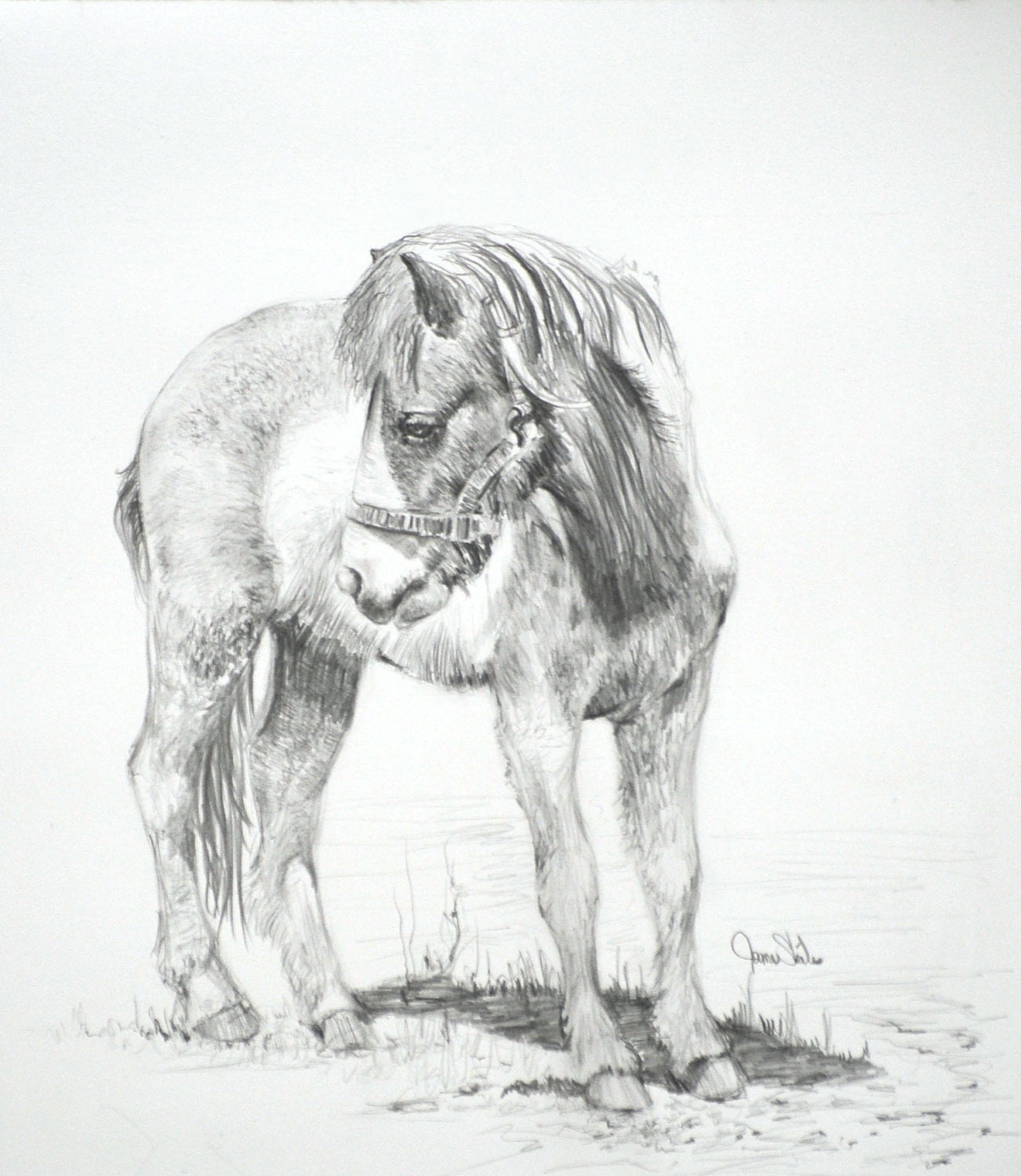 Horse Art An Original Graphite Drawing by JamesSkilesArt on Etsy