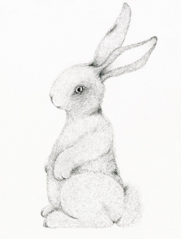 Childrens Wall Art, Fine Art Print of my Original Pencil Drawing, Bunny Drawing for Nursery room decor Woodland Drawing