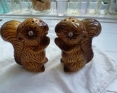 Vintage 2 Squirrels Salt and Pepper Shakers with Googly Eyes