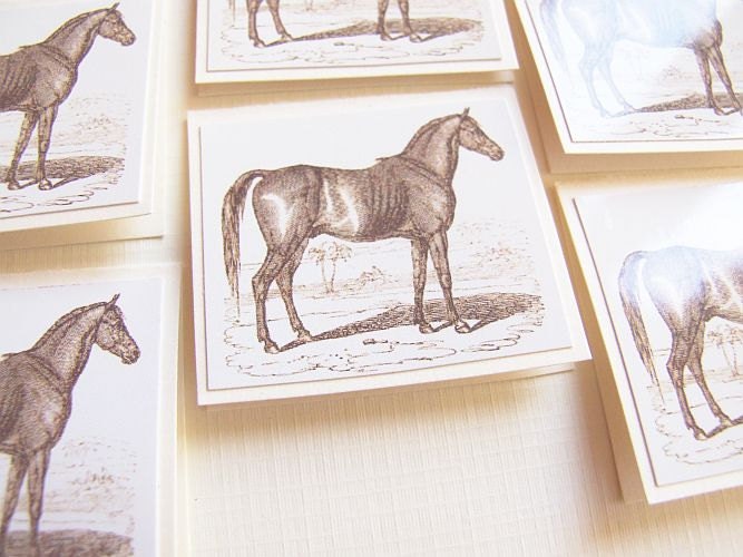 mini cards, mini notes with adorable vintage horse graphic - perfect for every occasion - set of 6