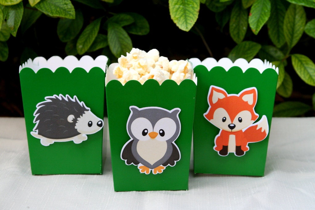 Woodland Creatures Snack Boxes- Set of 12