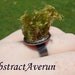 Moss Adjustable Ring - Natural Mood Moss - Nature, Moss, Green Adjustable Ring