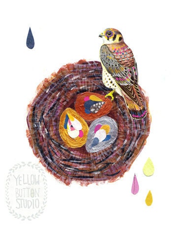 HAWK NEST 8.5" x 11" PRINT