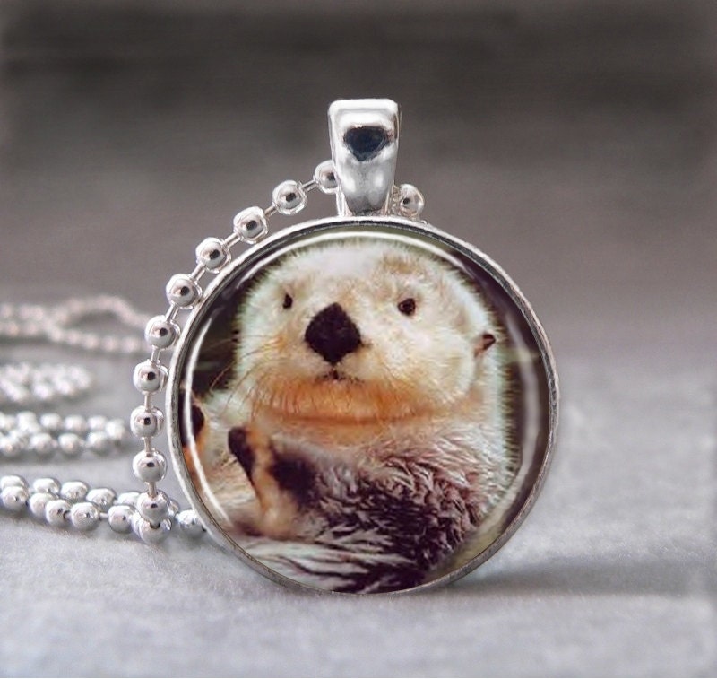 Sea Otter, Altered Art Glass Dome Photo Pendant Necklace with Ball Chain  no 992-11