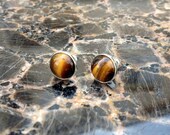 Tigers Eye Stud Earrings in Sterling Silver