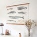 LARGE A1 Whales Canvas poster - vintage illustration educational chart illustration WAP2001