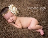 Sweet Champagne Sparkle Headband  Flower Rhinestone Embellishment On Glitter Elastic Newborn Photo Prop