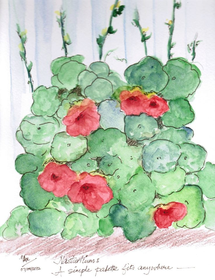 CIJ Nasturtiums kitchen art vegetable garden Watercolors Art Original Red and green Gift 9X12 - HandmadeExclusives