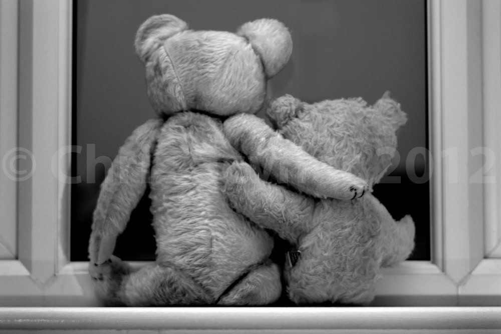 Best friends forever in black and white (8" x 12" photo print) - chriscyner