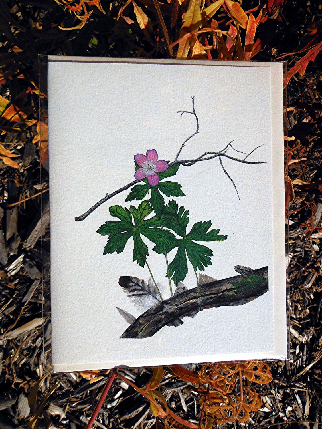Wildflower notecard watercolor Geranium maculatum on blank art card