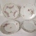 Vintage Victoria Austria Rose And Garland Porcelain Plate With Three Coordinating Plates Circa 1904-1918