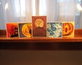 Halloween Card Set,  5 Halloween Cards, 5x7 Pointillism Cards