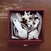 Curiosity collection in a vintage wooden drawer. Skulls, jawbones, teeth, coral, vertebrae, quartz, marble.
