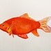 Original Watercolor Painting-GoldFish