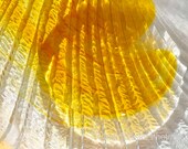 Sunny Yellow, 5x7 Fine Art Photography, Color Reflections, Abstract Photography - CindiRessler
