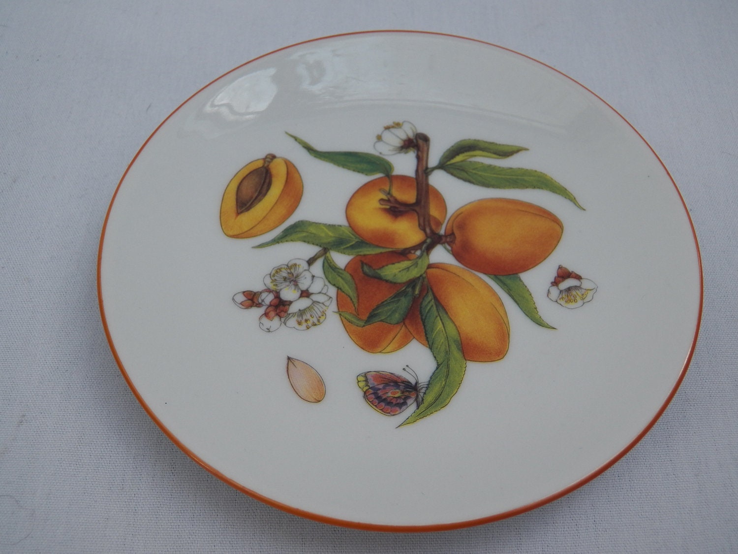 Limoges France Decorative Plate- Apricot I Godinger Plate Email De Limoges 1855 Morino - Collectible French Painted Decor- Fruit