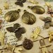 Its A Bugs Life Brass Charm Mix Butterfly, Dragonfly, Ladybug & Bees (20)