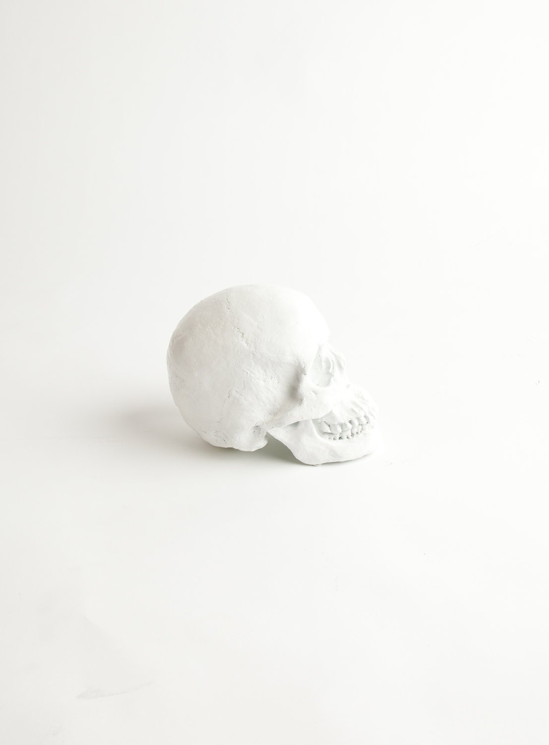 RESERVED for Casey - The Wiloughby - White Faux Human Head - Resin Skeleton - Sugar Skull Like