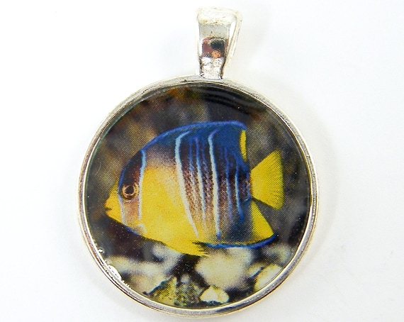 Fish Jewelry - Blue Yellow Fish Marine Sea Life Resin Nature Photo Pendant