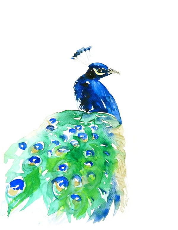 Peacock ART Archival Print of Original Watercolor painting , signed and dated Paper size: 8,26"x11,7" (21x29,7cm A4)