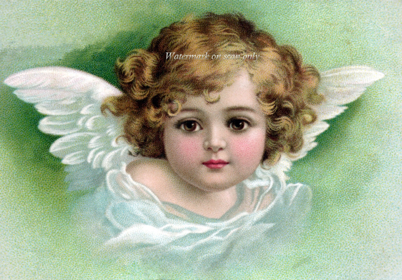 Cherub Fabric