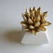Succulent Sculpture in White Modern Faceted Geometric Decahedron Container, Tabletop Centerpiece, Desktop Accessory
