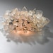Wall light fixture. Transparent flowers and leaves.