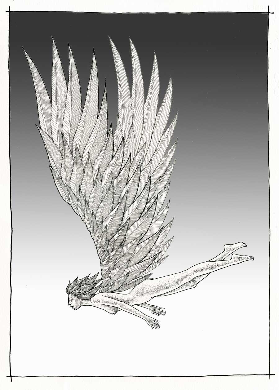 Free: an original drawing, a free woman in free flight, black, white, intricate textures, fine detail, wild, a fine art print.