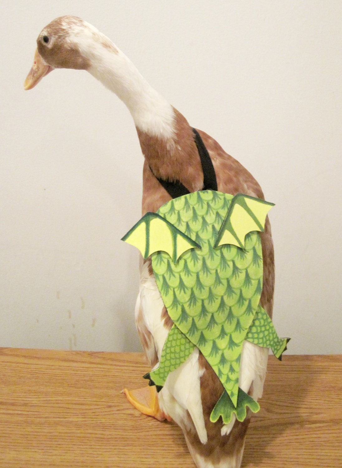 PartyFowl "Dragon" Costume for Pet Ducks, Chickens, & Geese