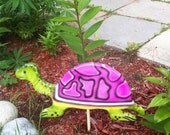 pink shelled turtle