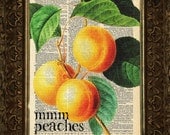 Mmm Peaches, kitchen, dining, on Antique Dictionary Page, art print, Wall Decor, Wall Art Mixed Media Collage