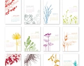 2013 Botanical Wall Calendar