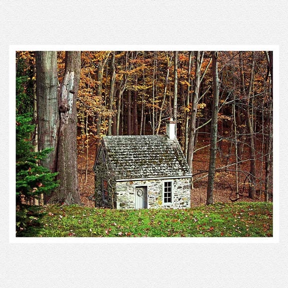 Autumn Decor Photography, woodlands, rustic, The Cabin, fine art photography print  8x10