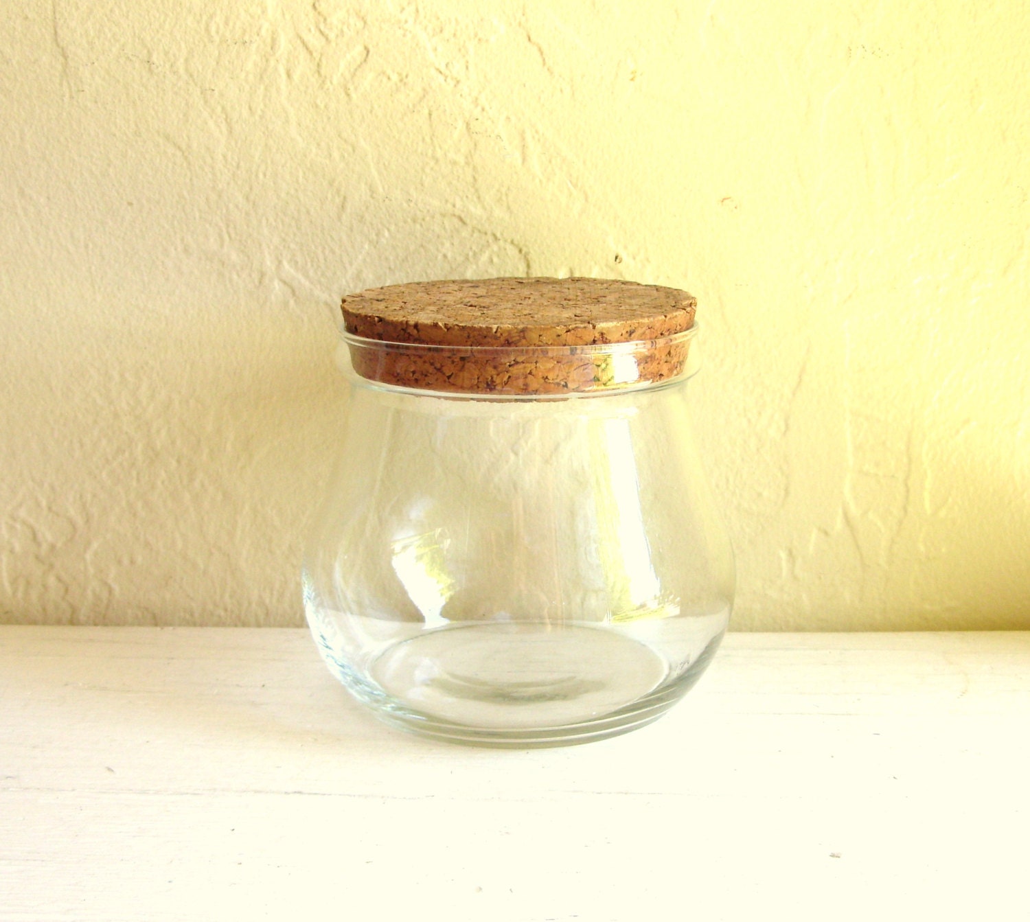 Glass Jar with Cork Lid Terrarium or Storage by ShabbyNChic