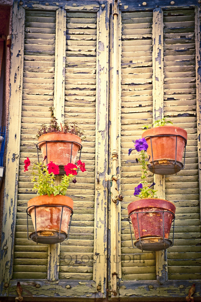 Provence French Country France Photograph. Flower Pots Hanging on French Shutters - Le Thoronet - fotostrudel