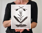 Botanical collage photo 8x10 with white border