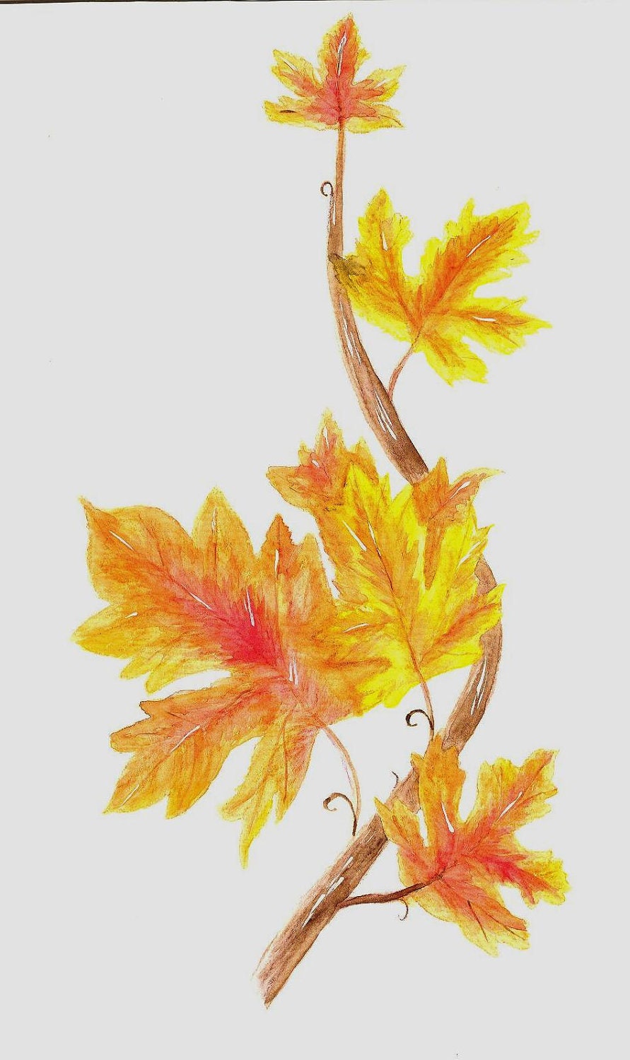 Matted Art Print of Original Watercolor Painting of Autumn Maple Leaves - ValerieNusbaumAandD