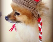 Pet Sock Monkey Beanie (XS, S, M)