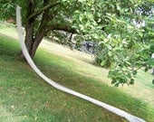 Extra Long Royal Length Wedding Veil 1 Tier Pencil Edge